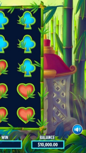 Screen